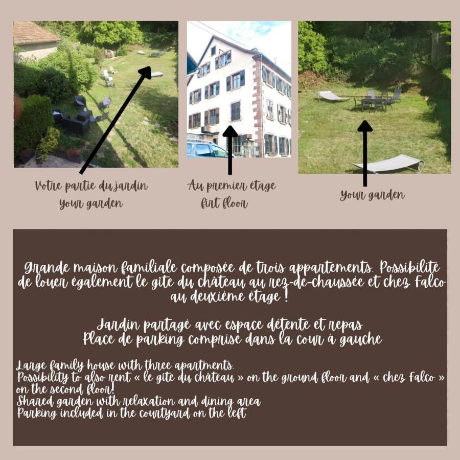 Gite Chez Lulu Proche Du Chateau De Schirmeck Apartamento Exterior foto